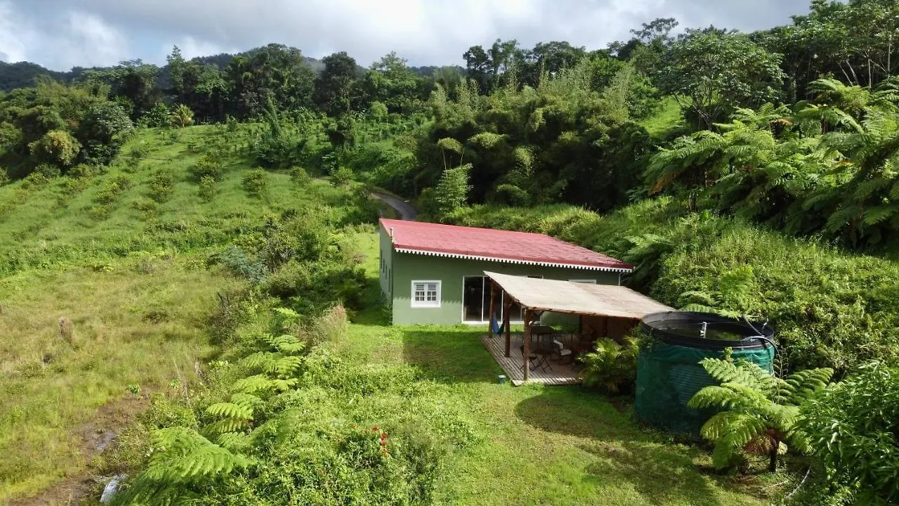 Chambre Et Sdb Privative Roucou Vue Mont Pelee Dans Maison Partagee Le Morne-Rouge مارتينيك