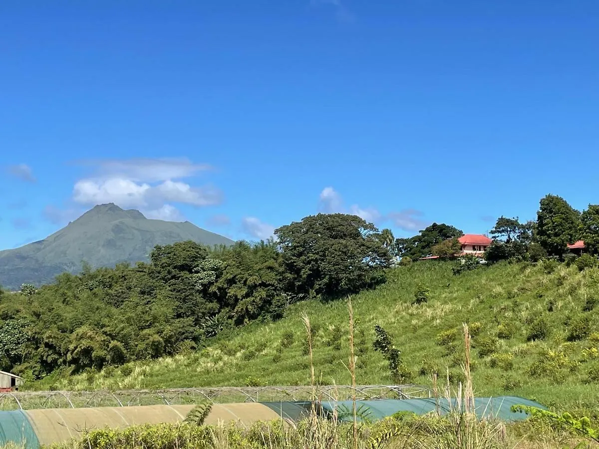 منزل للإقامة Chambre Et Sdb Privative Roucou Vue Mont Pelee Dans Maison Partagee Le Morne-Rouge